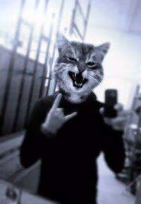 3c0d9d38623d9be497badde05d2198db.avif