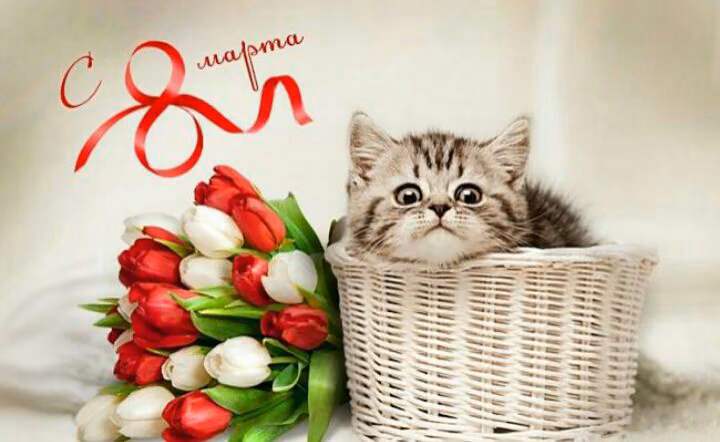 3c1a9820d8e9f5bf9b9bb79158a06269.avif
