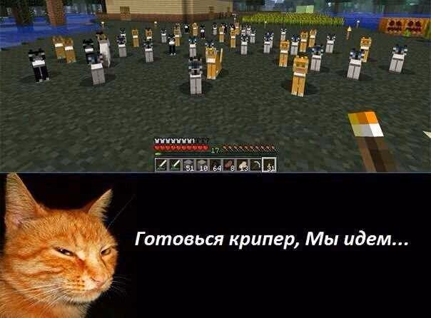 3c206990cdef5f6ff45a71c36e227904.jpg