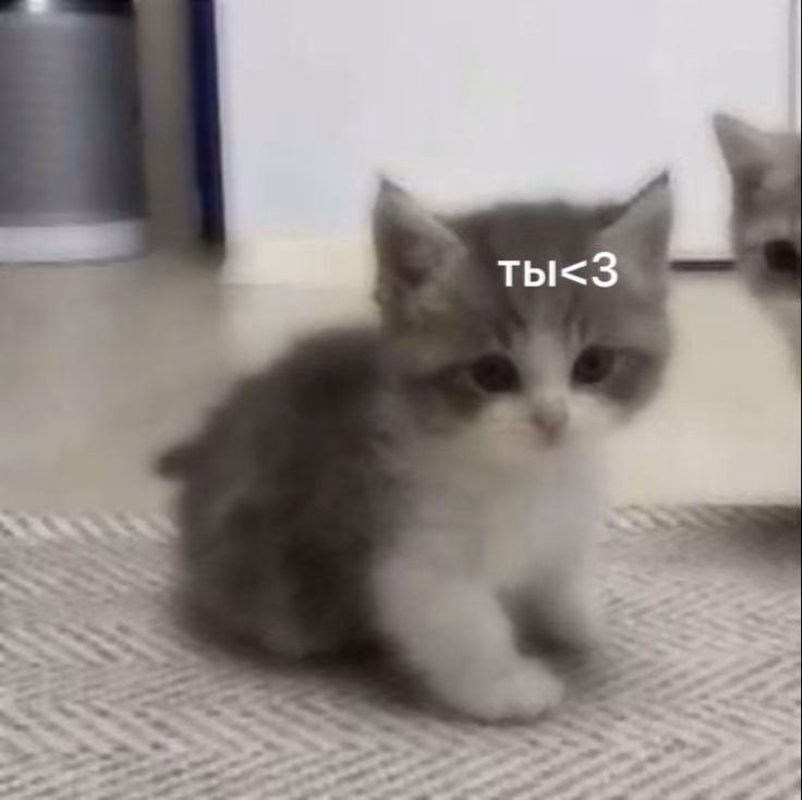 3c32366ab2e447c04d2ee39706d8ce35.avif