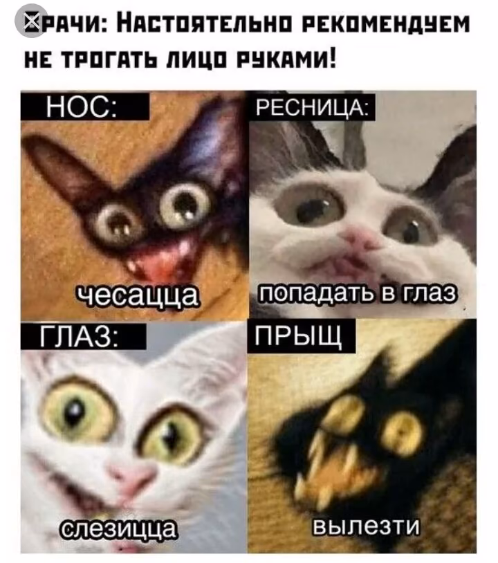 3c32e64374cad095364f0fc53dd4f351.jpg