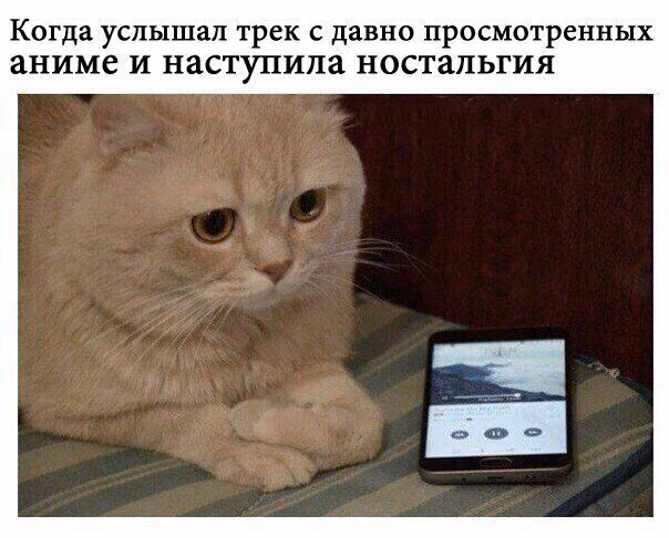 3c37b1da2e45d4ac960e52ca86dc89e9.jpg