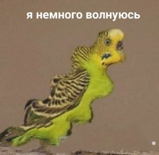3c3eaa7019254536e4f35117d374beb9.avif
