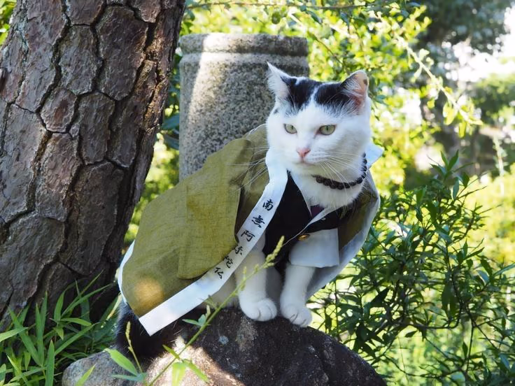 3c54d11b017cd6890730ebec7c2f827f.jpg