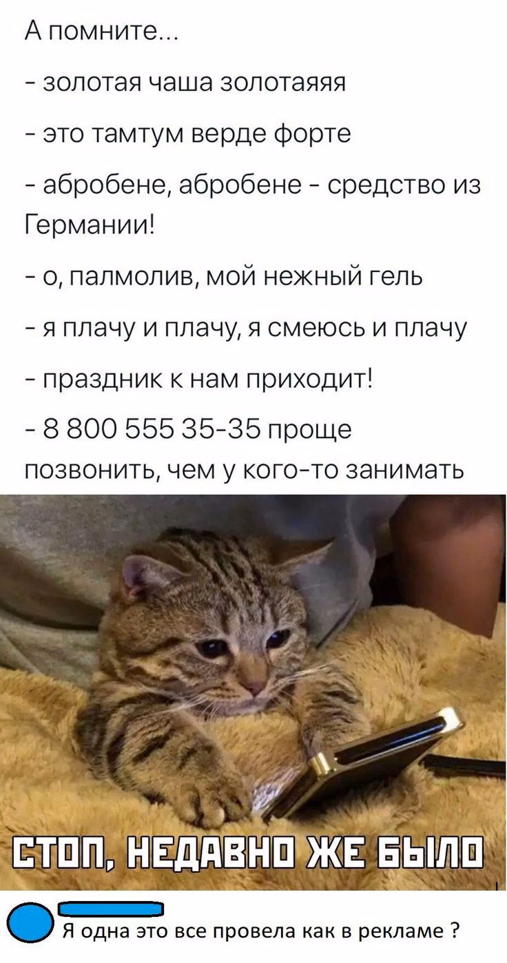 3c6b680f01648594225dbc96b9825d55.avif