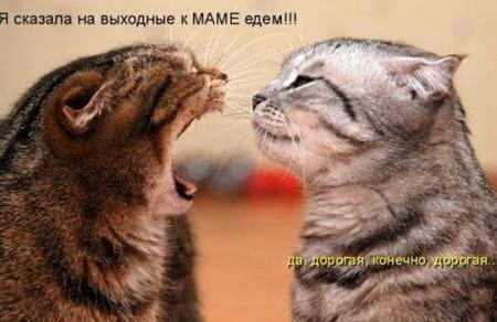 3c6e7a6d17d56395b1e611944ecf71b2.avif