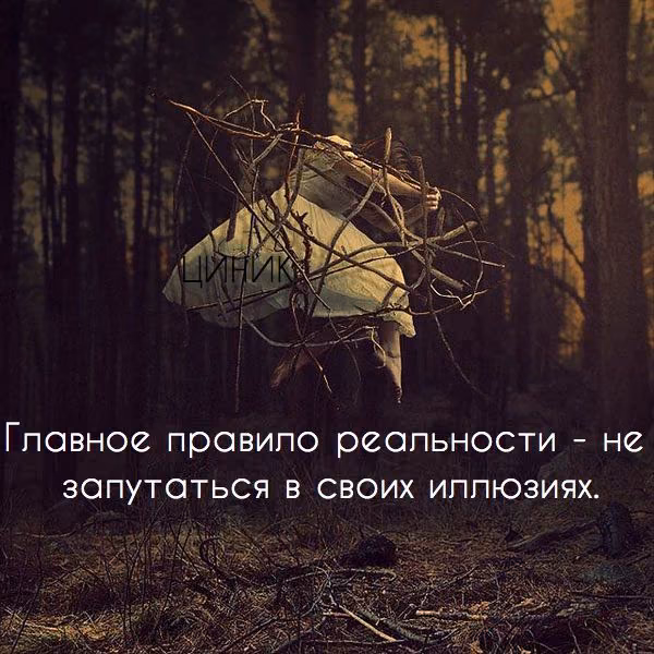 3c7de3ecaaf032d9c7d74d8388e341dc.jpg