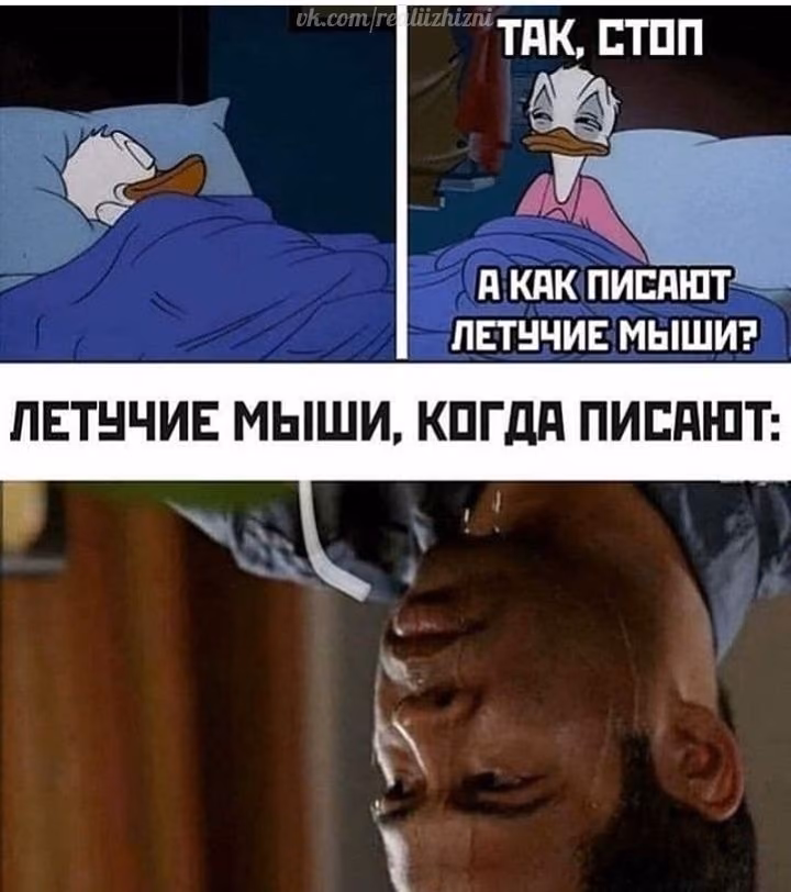 3c8c82cecc6681a6f9974970b52bffa2.jpg