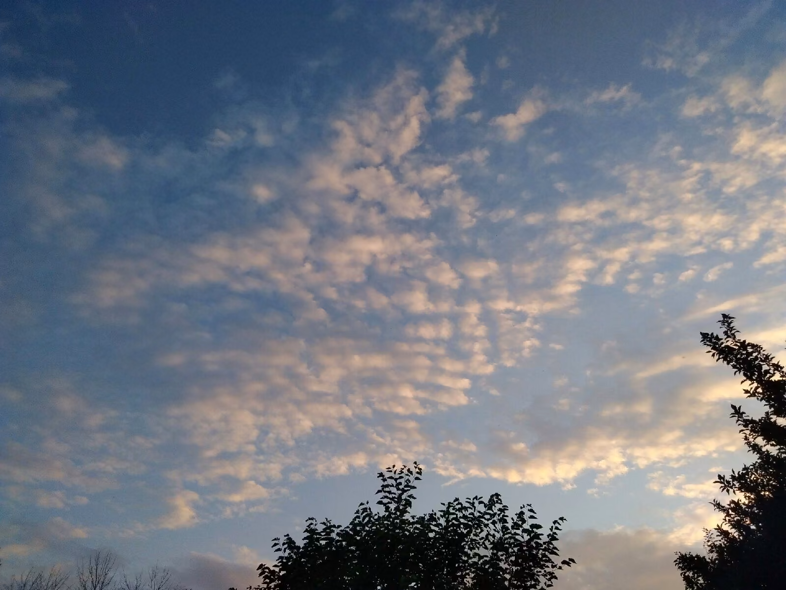 3cc65ec821a129f7b6d28e2433d8f9fc.jpg