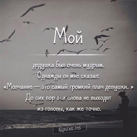 3cd134c7e59e97a52125e989f0282f91.jpg