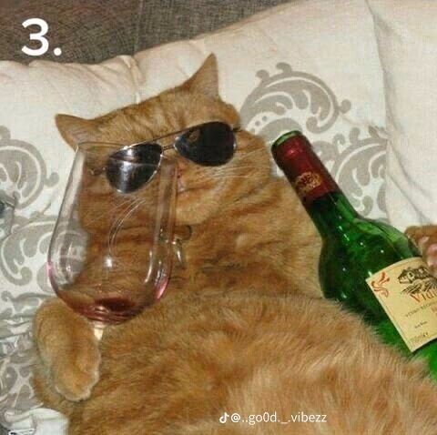 3d0a030593a9203159478ccfee9fb744.avif