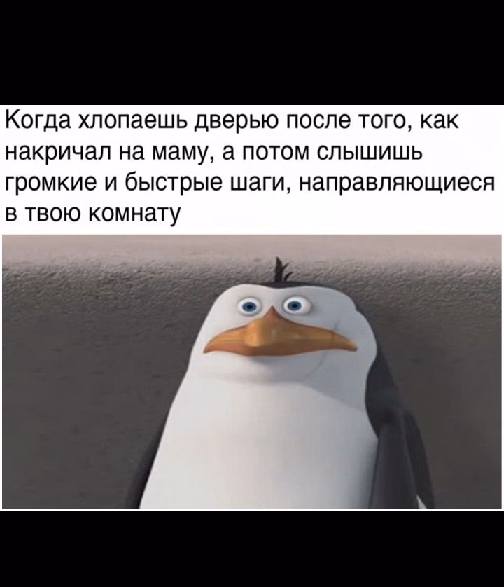3d15d7434b92ebfebf08144f4772ec37.jpg