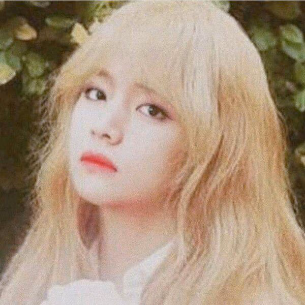 3d1b2a3fa8c85d5d34772a00e356e924.avif