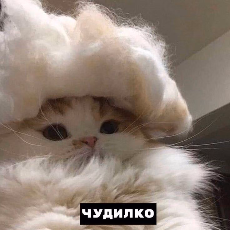 3d2e9f1807bcfdf0fc21dced524ddbe7.jpg