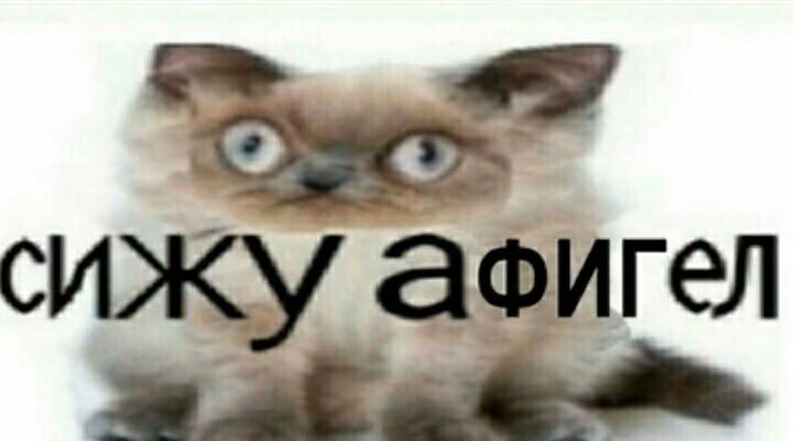 3d2f0ff49172d83894c8d8cef80c0559.jpg