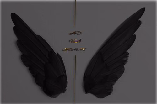 3d3a97de3284d6e22e7d68a4254d42b2.avif