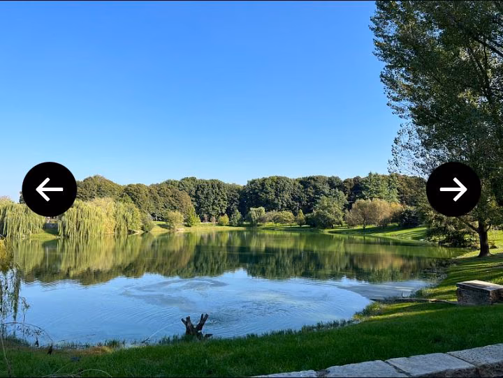 3d3cc932c942546f125d1c56f7b2bed7.avif