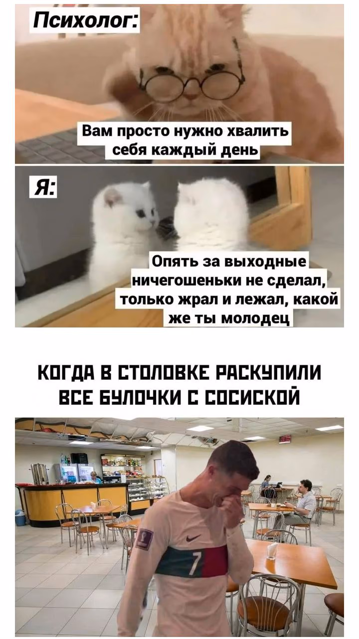 3d3d7b48a91d575c309b7095bf9f6384.jpg