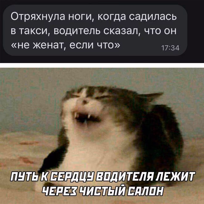 3d409ac09e9c1264d6fd9757de91323f.jpg