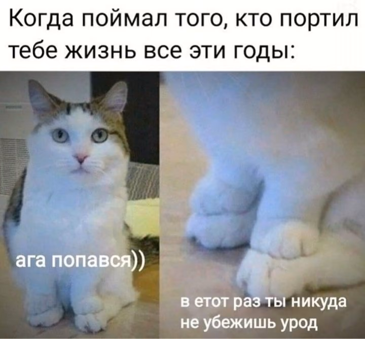 3d5bfd984a1ae3c328fc84a18de57876.avif