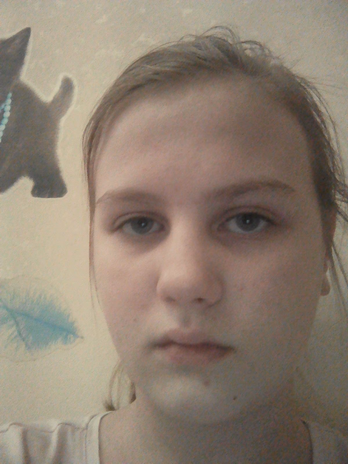 3d6dd905710ab18cb3007d21bece1971.jpg