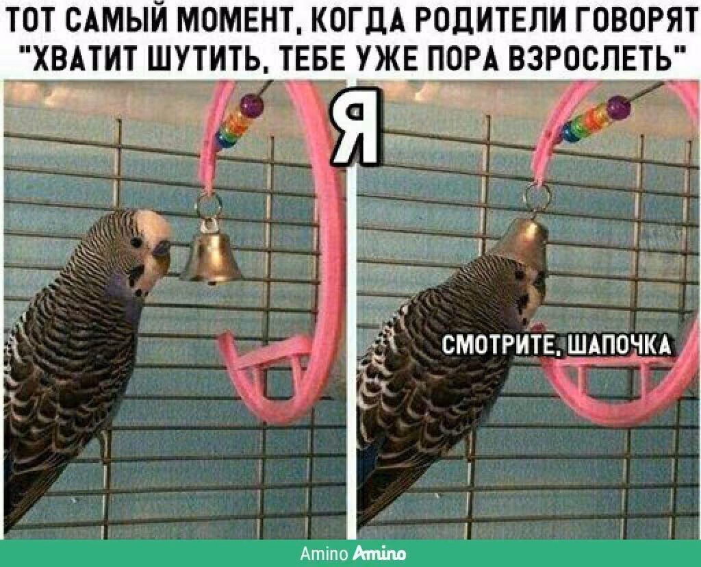 3d95466d5728124f8efaf0a5123266f5.jpg