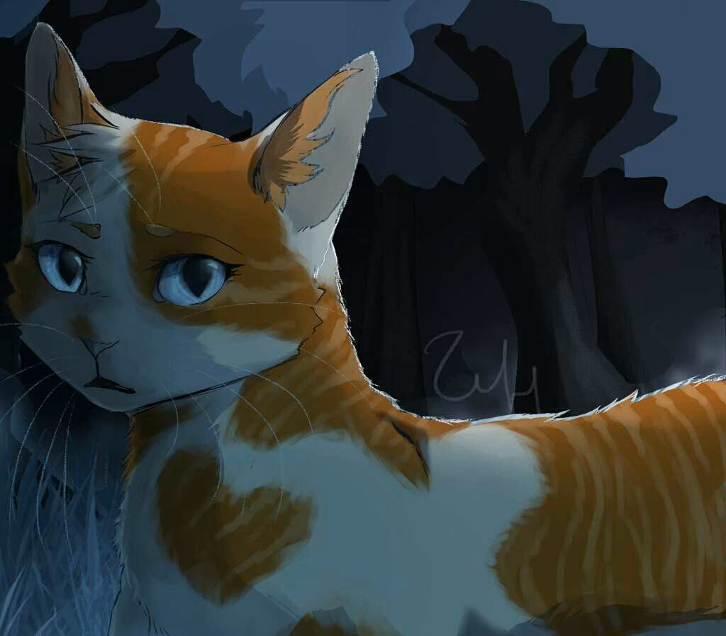 3d9614f02f7ebfaa383af94ee6333f15.jpg