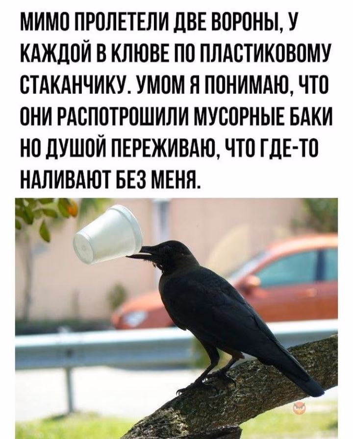 3d9f944e8930d4ee1ea9dcf597e84083.avif