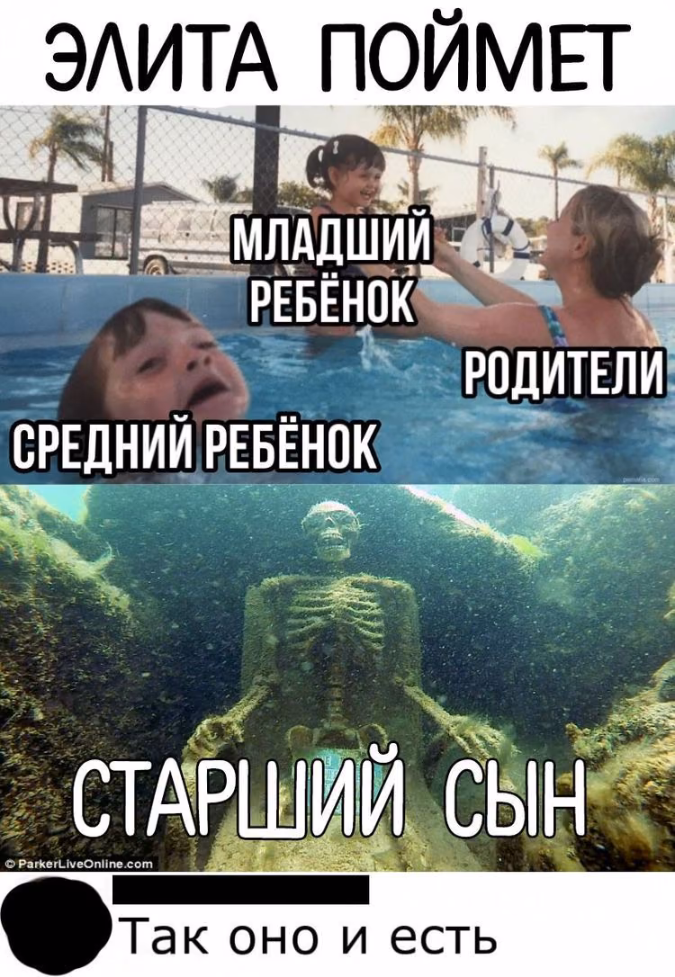3dadf120a86fe6f527b911f134a85f7d.jpg