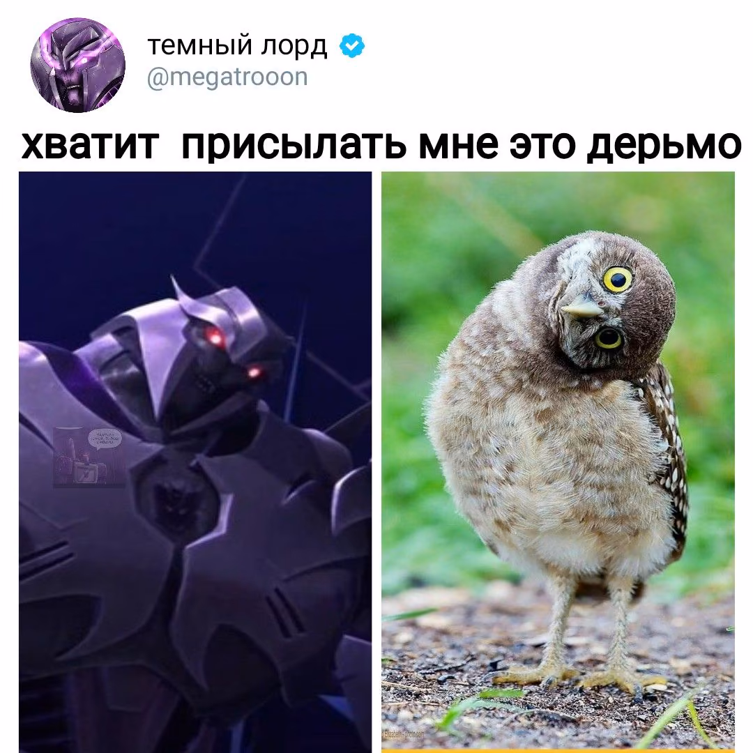 3db4801f11571c99bd65c576246f9f4f.avif
