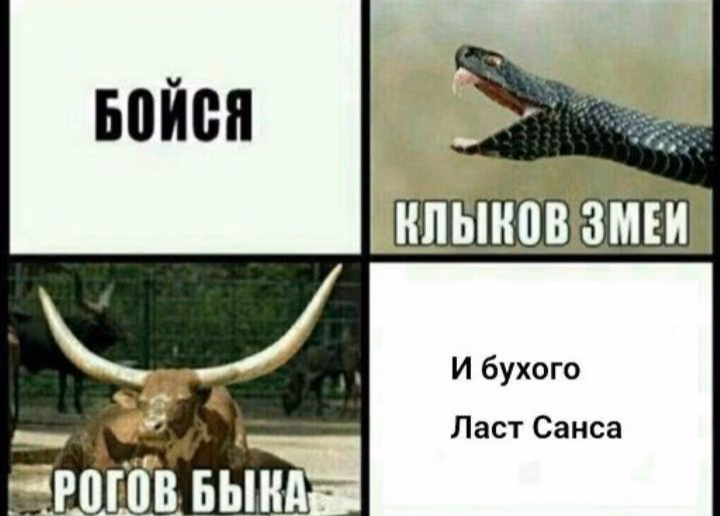 3dc222aa7add5b75bd5c6ed06df8b9be.jpg