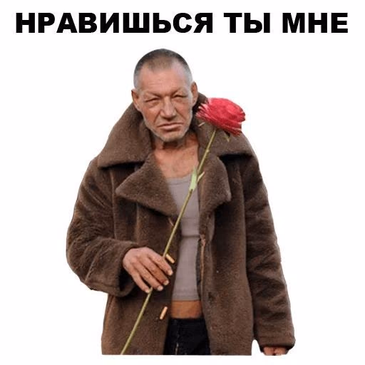 3dce1ec7527b4d276d93dcf7086ecc87.avif