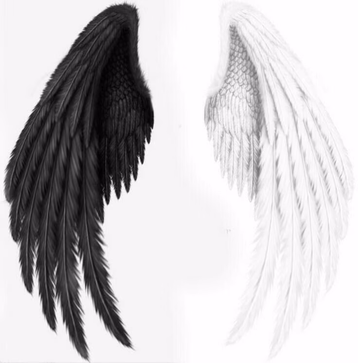 3dd4f7df82d653f6f92810a40568371e.avif
