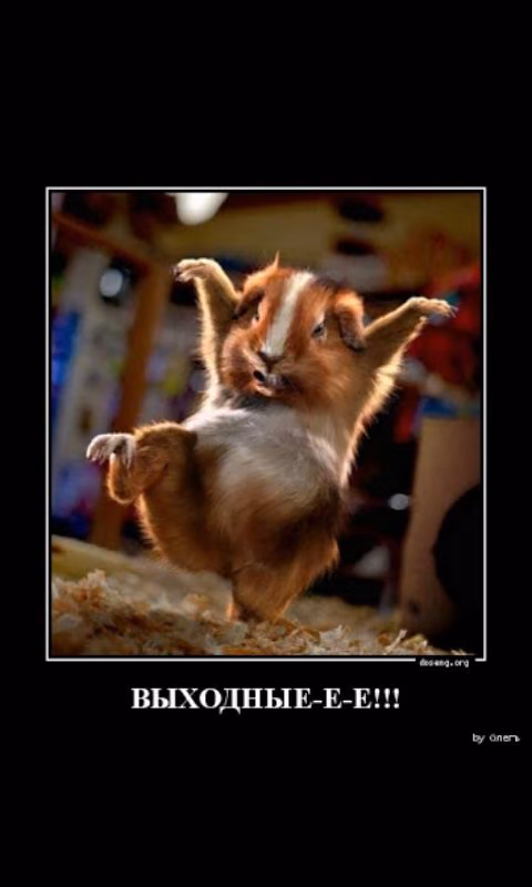 3de52036d2b4dbddee44599648372c89.avif