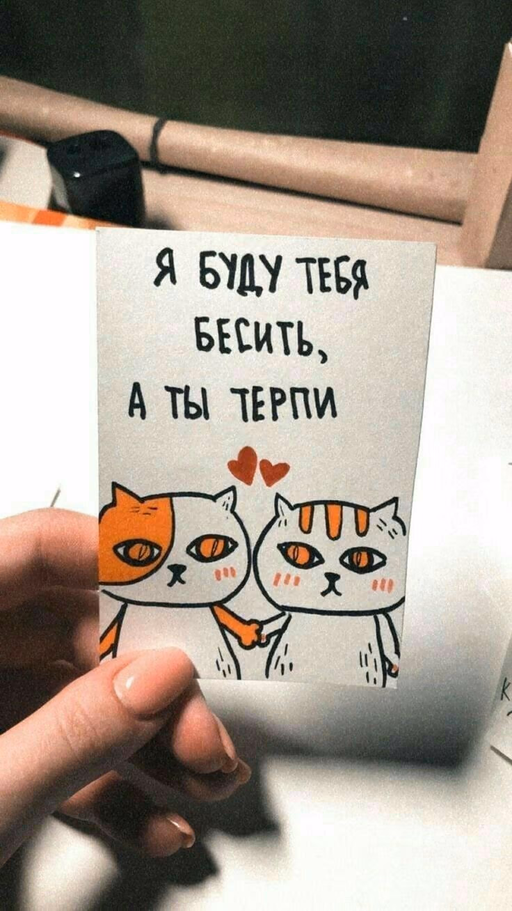 3dea2b302a9929e358fbccaf43b235fb.jpg