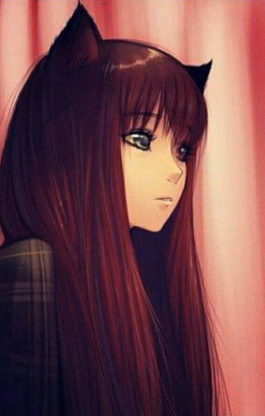 3df70443ea143fd206c224efb8736aa4.jpg