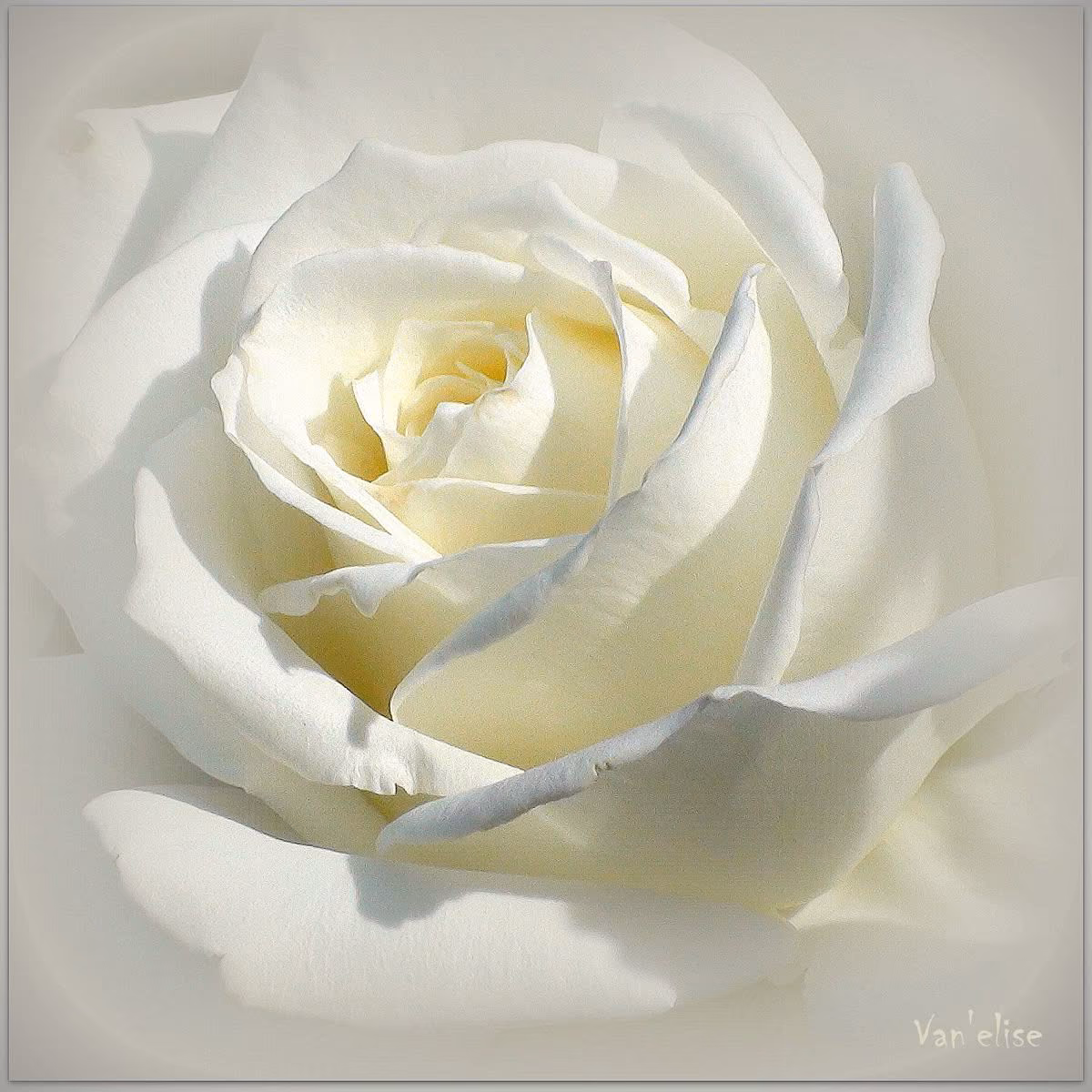3df7d8afb6050c65c417e09e4cca12c9.avif