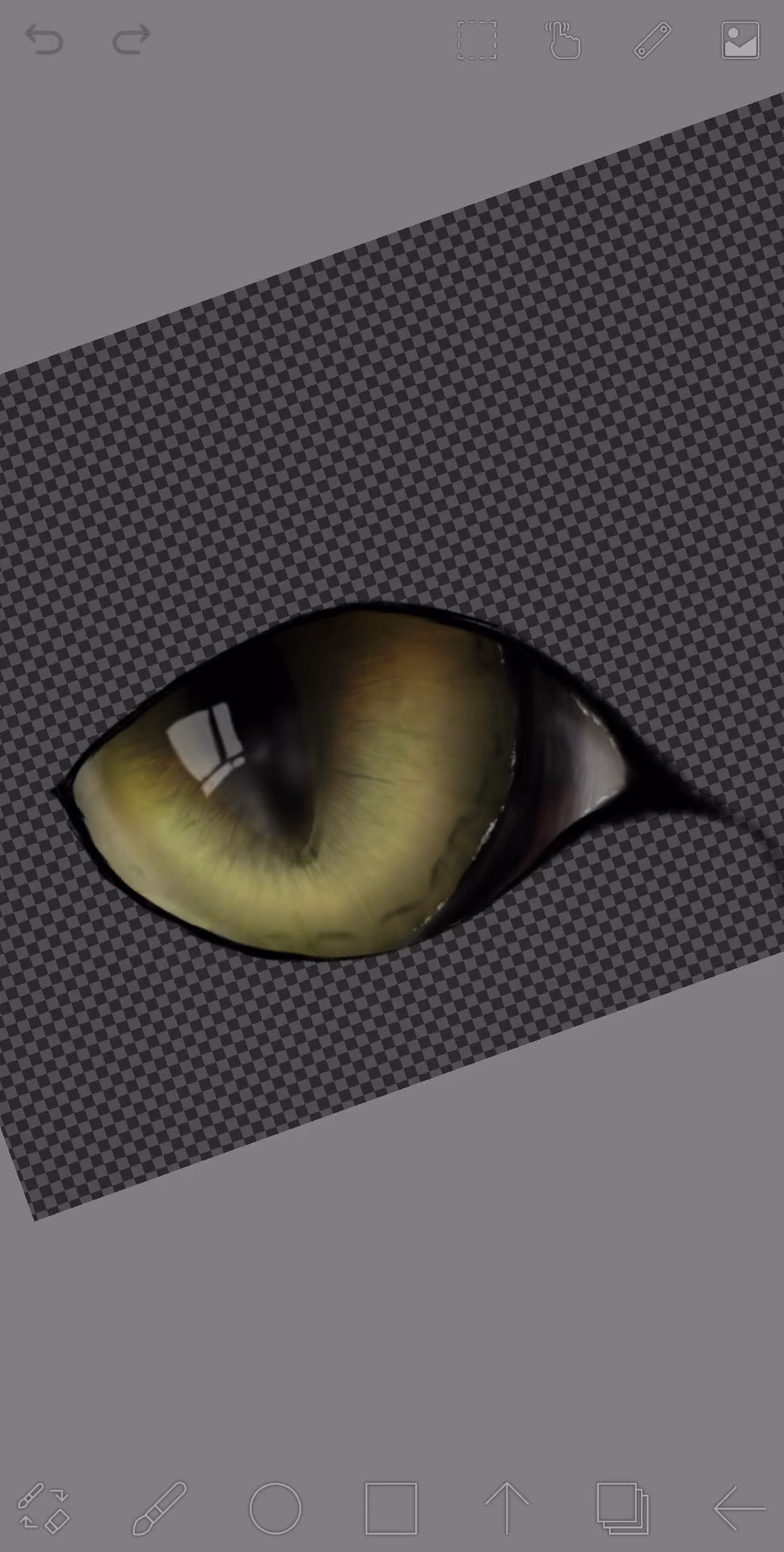 3e005c85137263921d9c2bef08c5d7ad.jpg