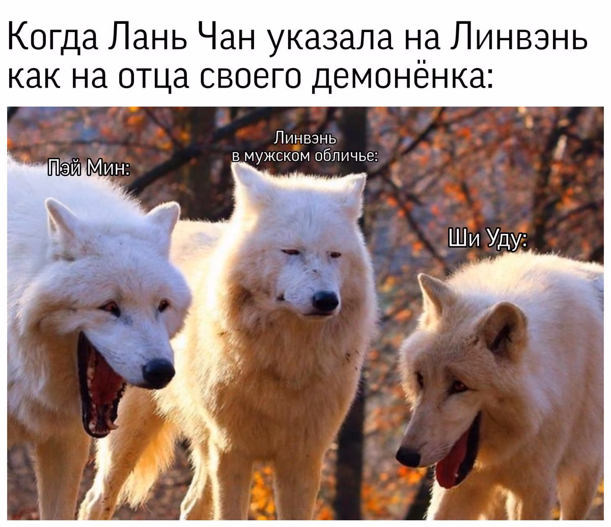 3e015e236d127f31510e00417b1696a8.avif
