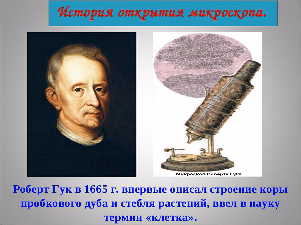 3e0350057caea9bdb75793b88b97a4bc.avif