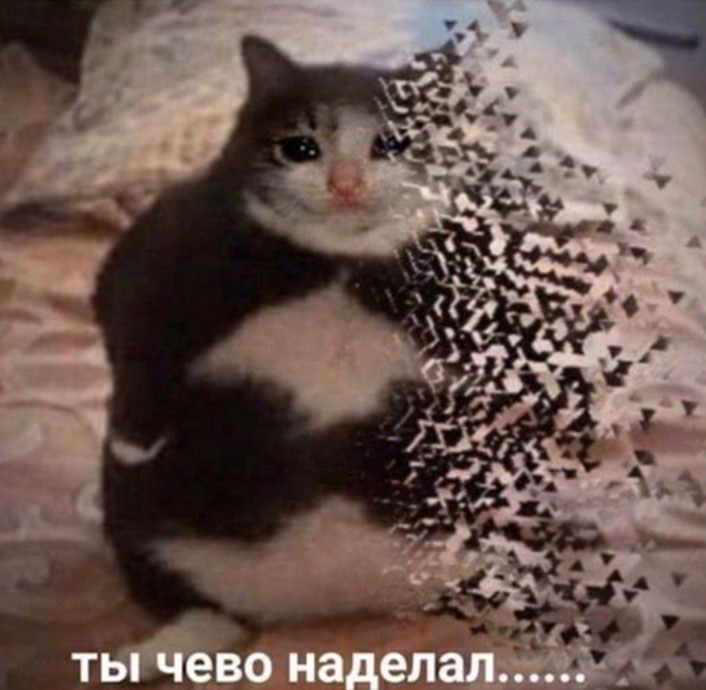 3e0aff2c36bb45f8175f8de4fafd950c.avif