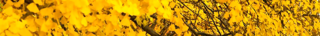 3e0fbda9d09a5245a2ca755e022066d1.jpg