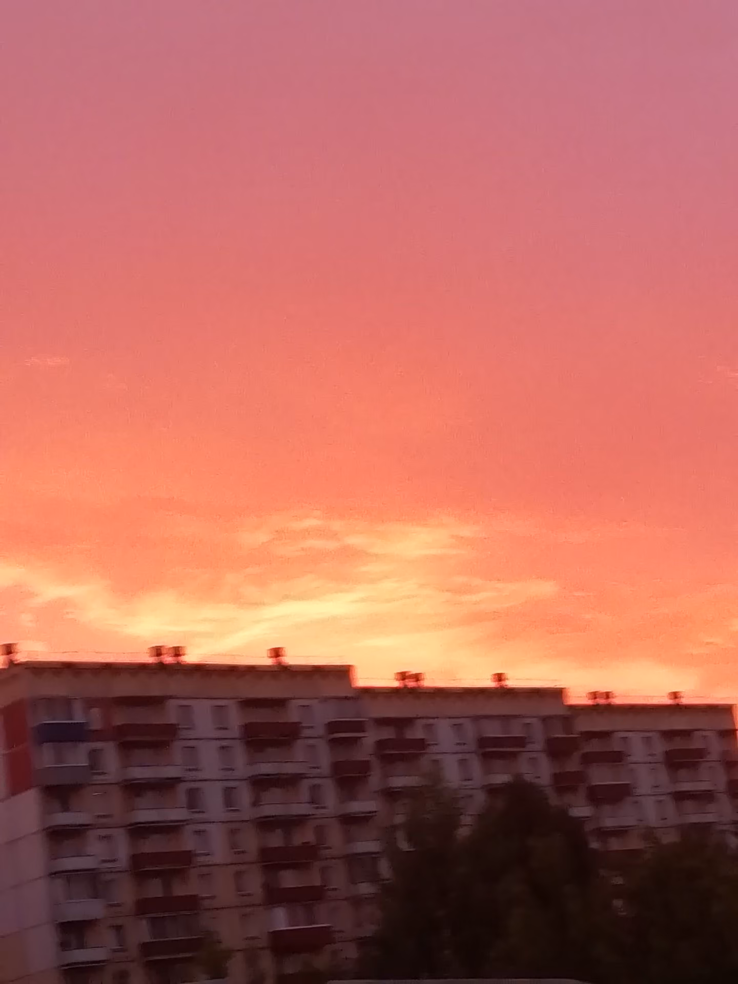 3e42ad09e2d5012f08726533ddf68554.jpg