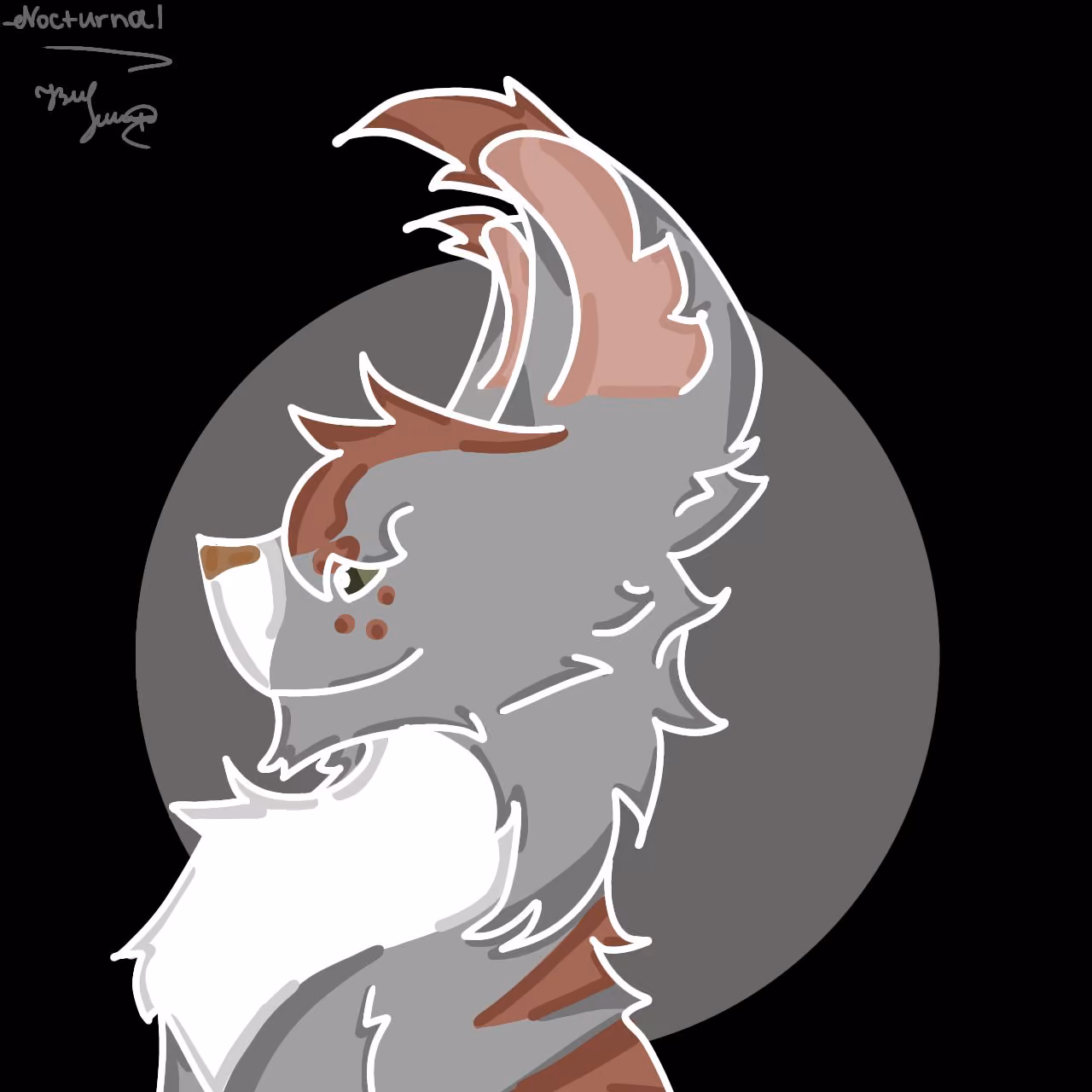 3e54b22cb3ef81b39c2a5d531be8b0ca.jpg