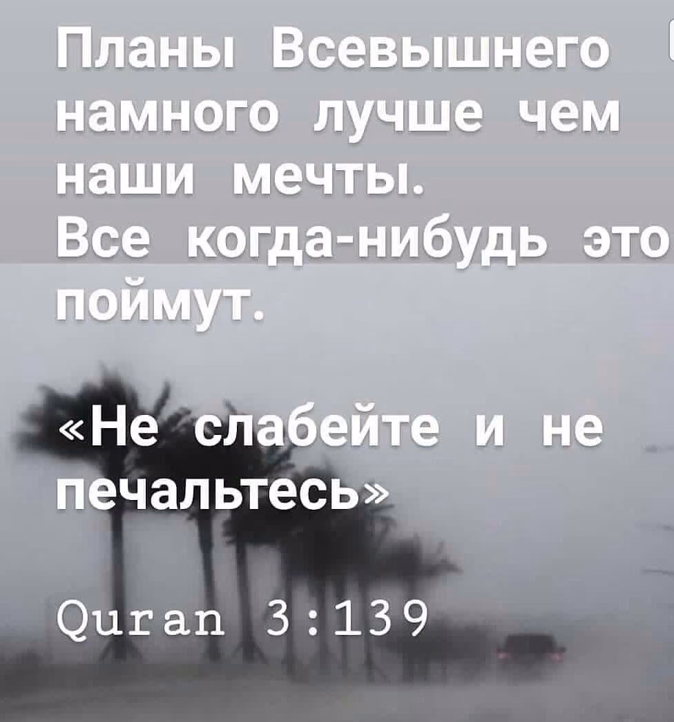 3e63c52cd8f71c781bc23bc1249d0c0a.jpg