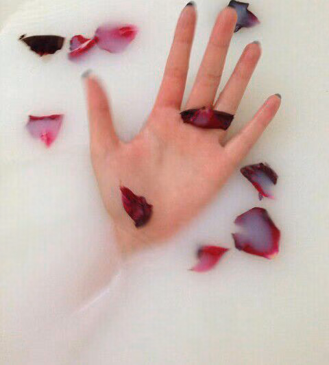 3e67ffff502583684c4a02f9b4b58097.avif
