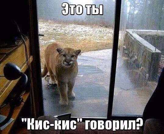 3e6b099d3ce19da1b93e031fdf4a4551.avif