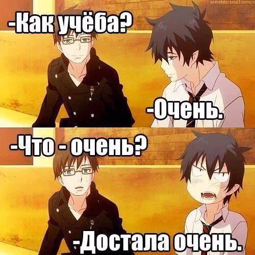 3e6ee542db226a6bb8a70d5d25887c37.avif