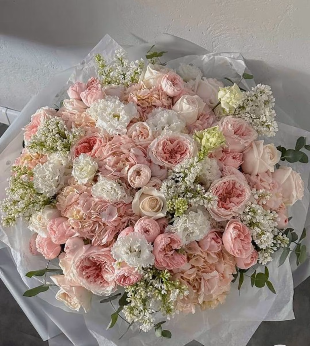 3e7b447ed1caa24078c790ae4d2c11ad.jpg