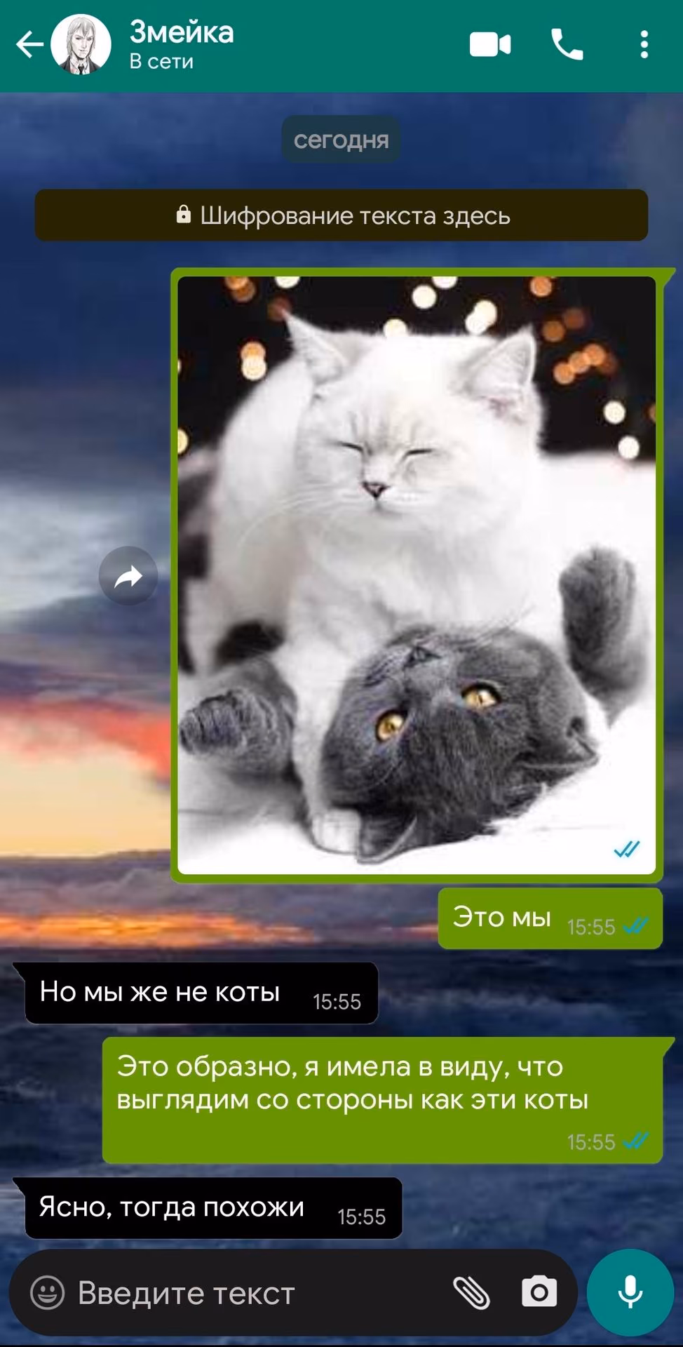 3e8256c5ce486b2df0e2ad9899468ea9.avif
